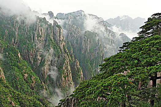 喷雾型迷幻香水C1B8D97C5-18975